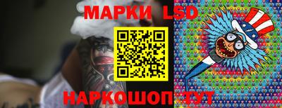 шишки Будённовск