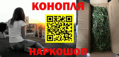 шишки Будённовск