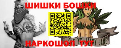 шишки Будённовск