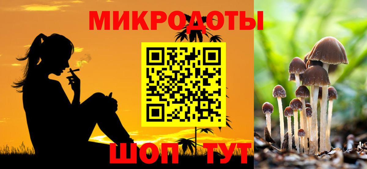 Саянск  Псилоцибиновые грибы Psilocybe  Вход с VPN  продажа наркотиков  Галлюциногенные грибы GOLDEN TEACHER 